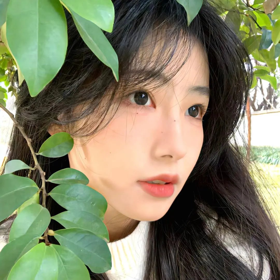 千金归来之真千金她又美又飒